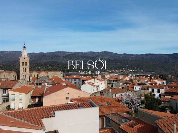 Maison de village à Prades avec potentiel locatif, T4 ou deux logements T3 et Studio