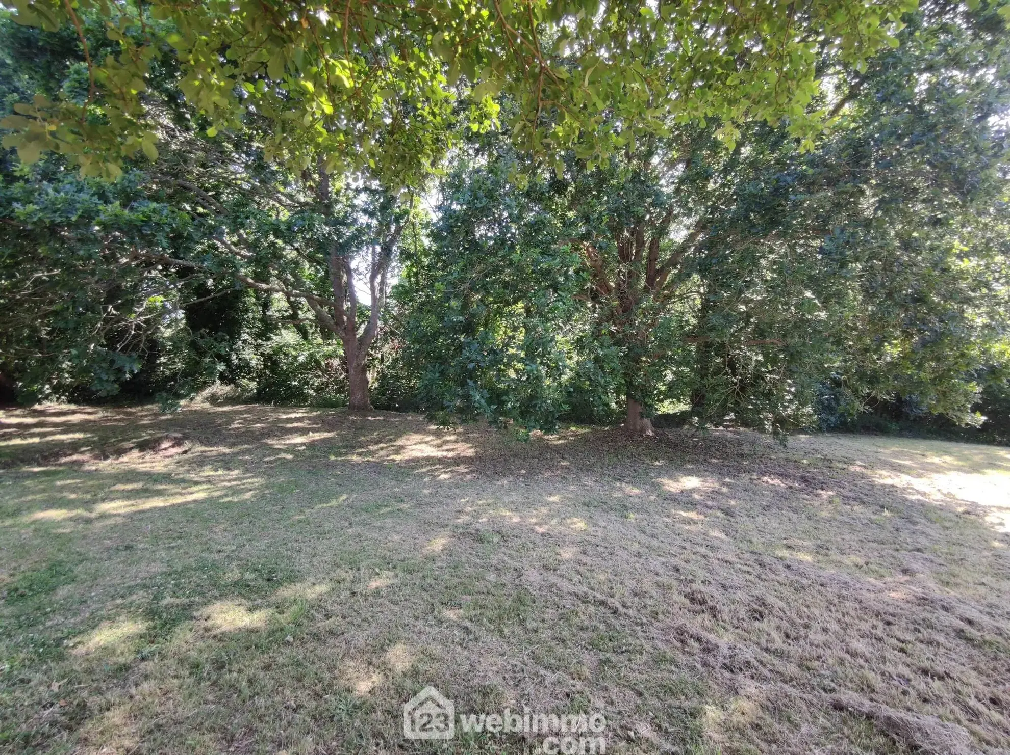 Terrain constructible de 1091 m² à vendre à Trédrez-Locquémeau – Emplacement idéal proche de la mer 