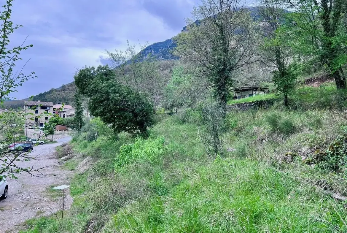 Terrain constructible à Roussillon-sur-Tinée – 1232 m² avec permis et potentiel d'investissement 