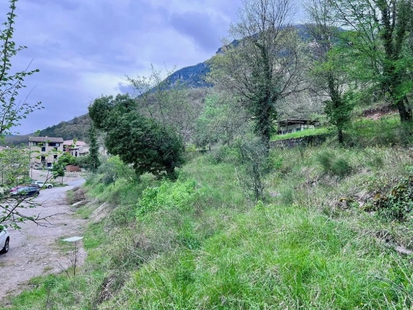 Terrain constructible à Roussillon-sur-Tinée – 1232 m² avec permis et potentiel d'investissement