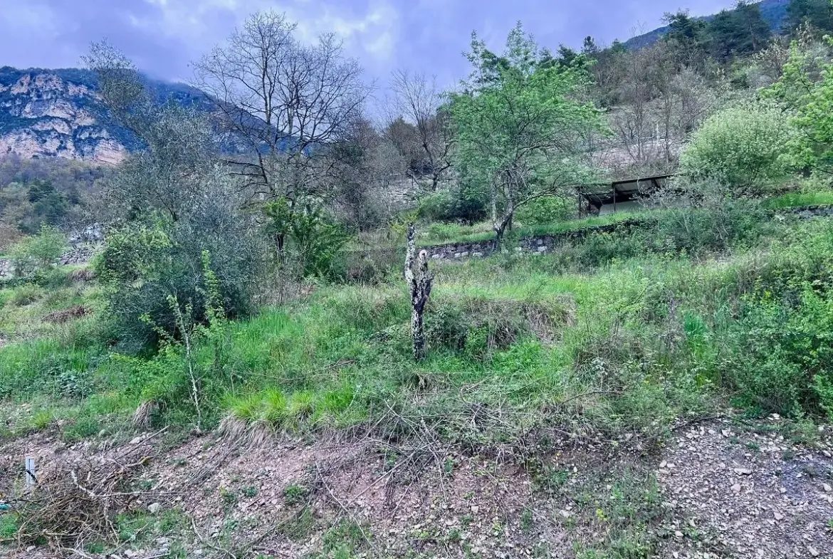 Terrain constructible à Roussillon-sur-Tinée – 1232 m² avec permis et potentiel d'investissement 