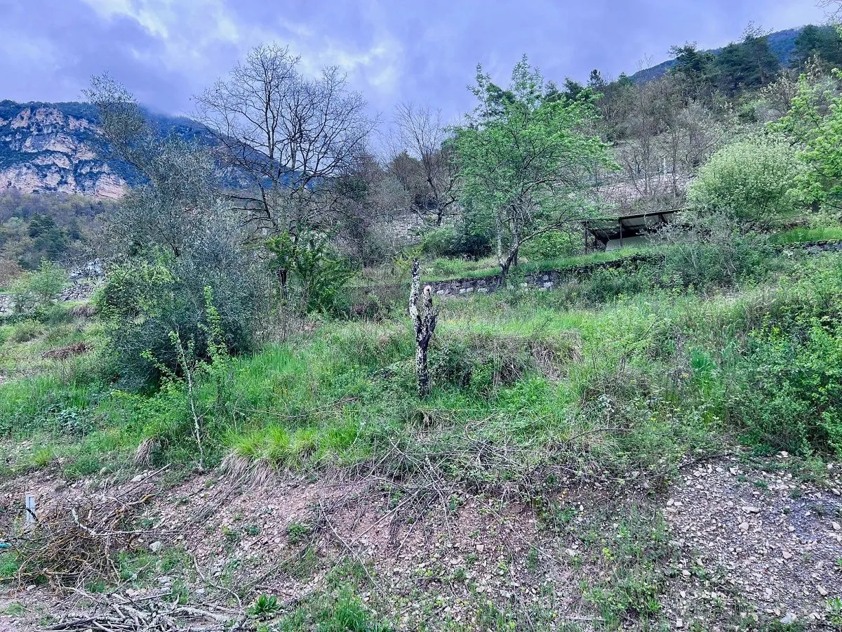 Terrain constructible à Roussillon-sur-Tinée – 1232 m² avec permis et potentiel d'investissement 