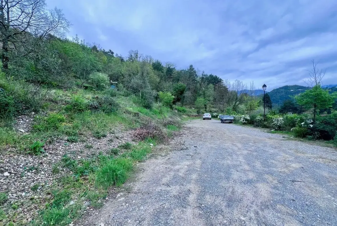 Terrain constructible à Roussillon-sur-Tinée – 1232 m² avec permis et potentiel d'investissement 