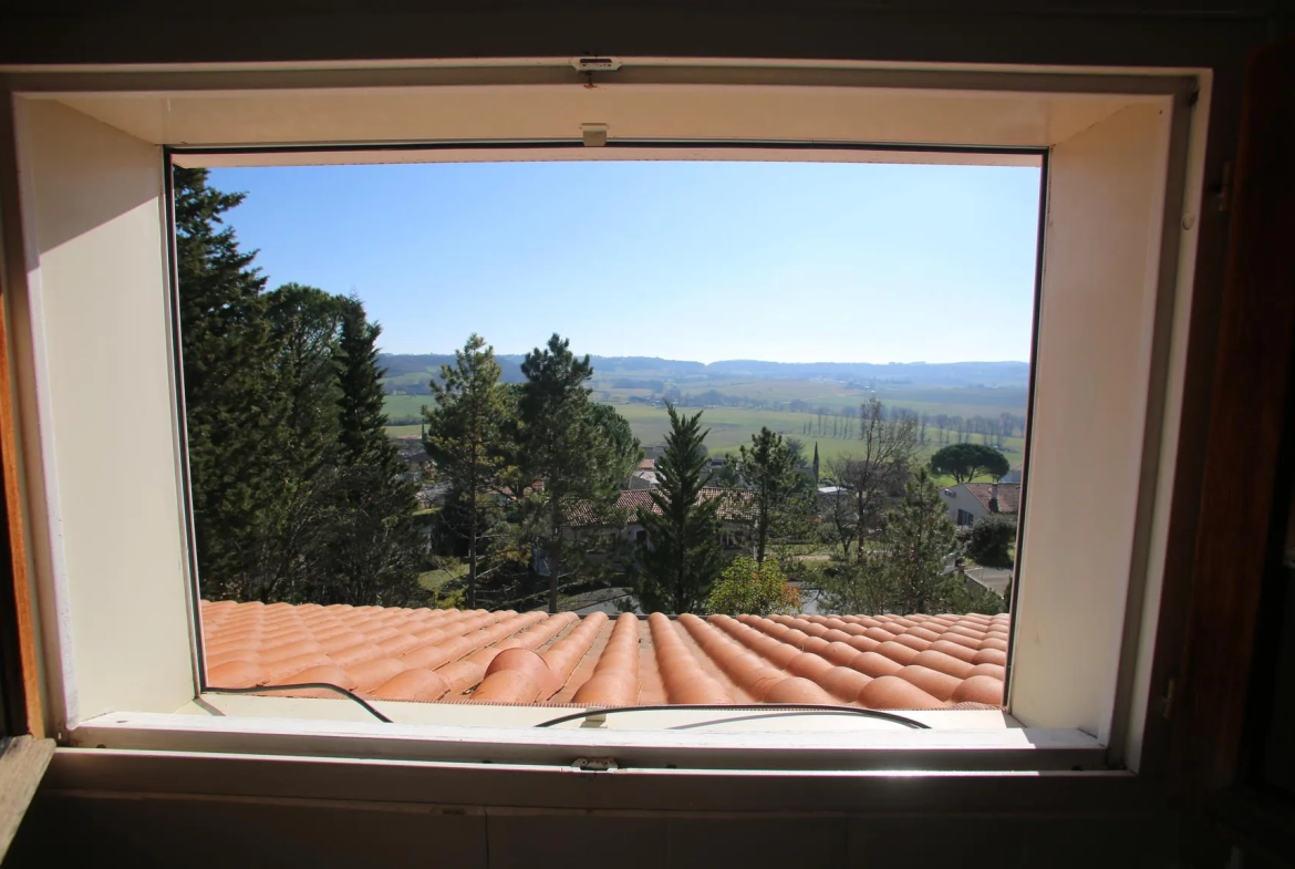 Villa avec piscine à Albi - Vue dominante et grand jardin 