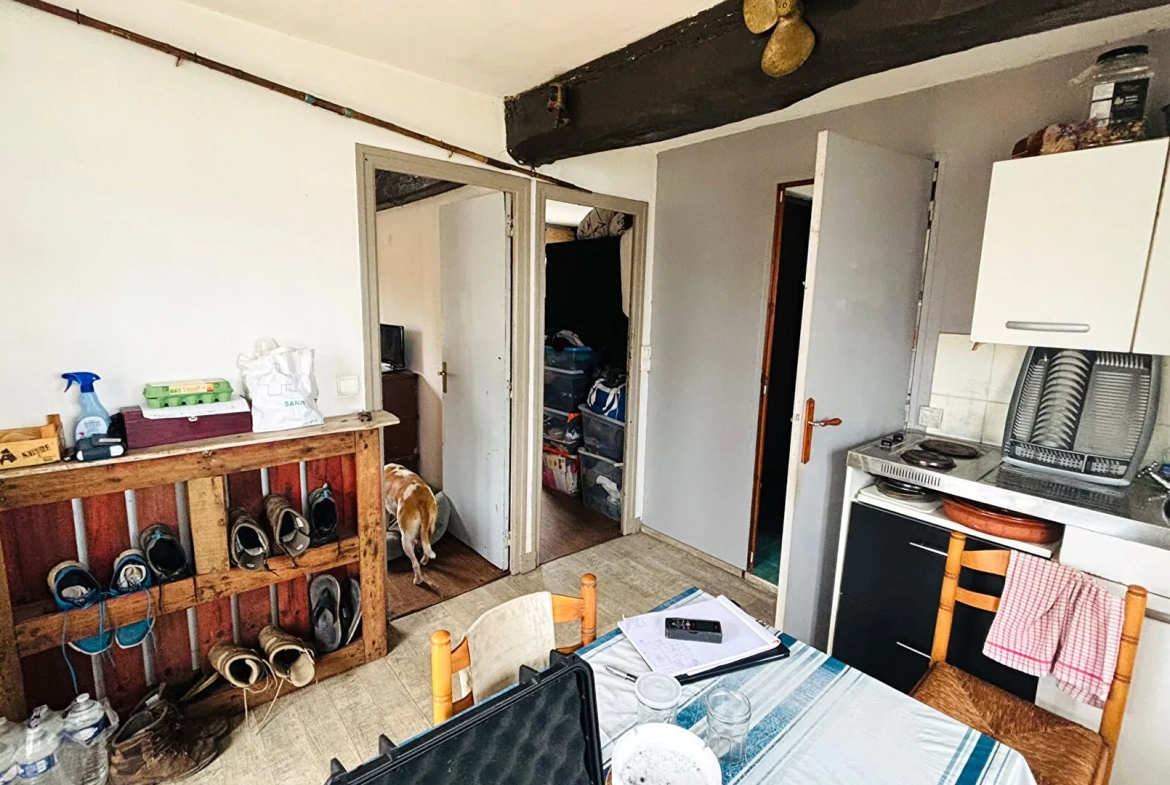 Maison ancienne à Urt avec grande parcelle et potentiel locatif à saisir 
