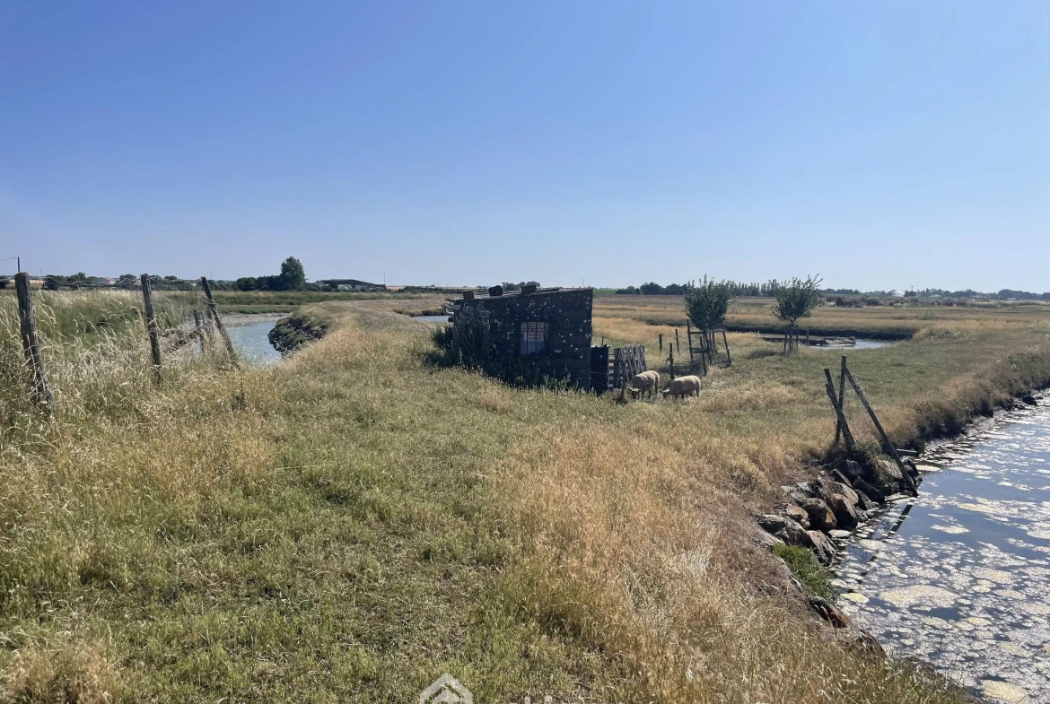 Terrain de loisirs à Jard-sur-Mer pour pêche et détente en pleine nature 