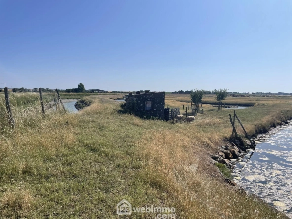 Terrain de loisirs à Jard-sur-Mer pour pêche et détente en pleine nature