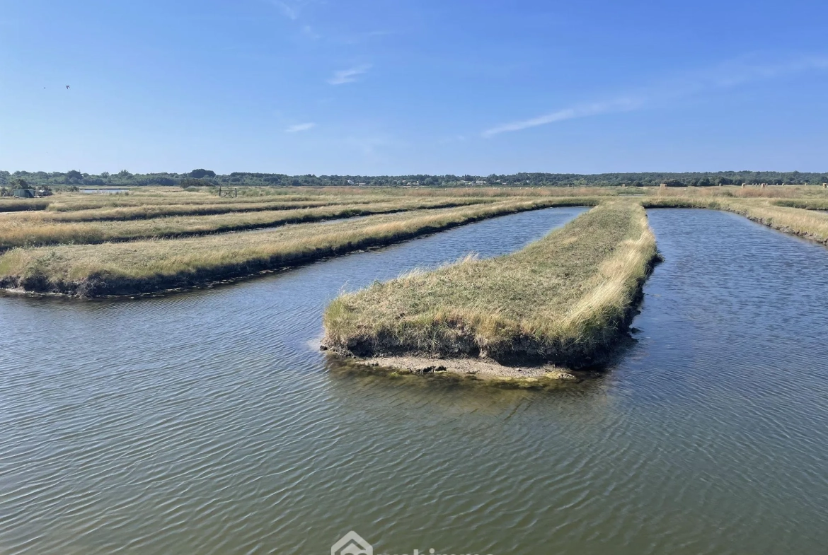 Terrain de loisirs à Jard-sur-Mer pour pêche et détente en pleine nature 