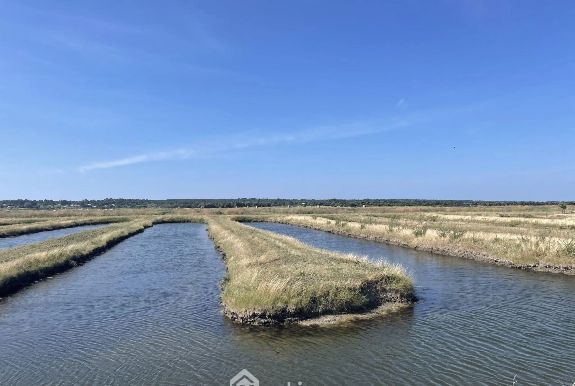 Terrain de loisirs à Jard-sur-Mer pour pêche et détente en pleine nature 