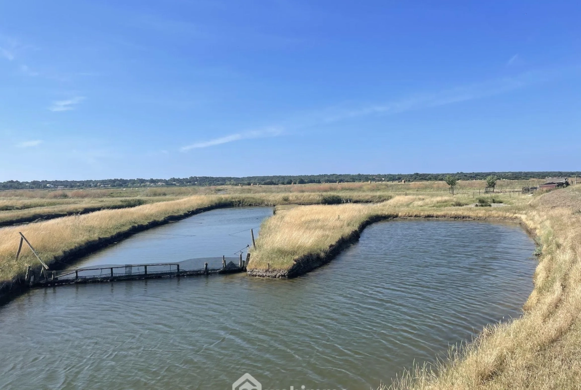 Terrain de loisirs à Jard-sur-Mer pour pêche et détente en pleine nature 