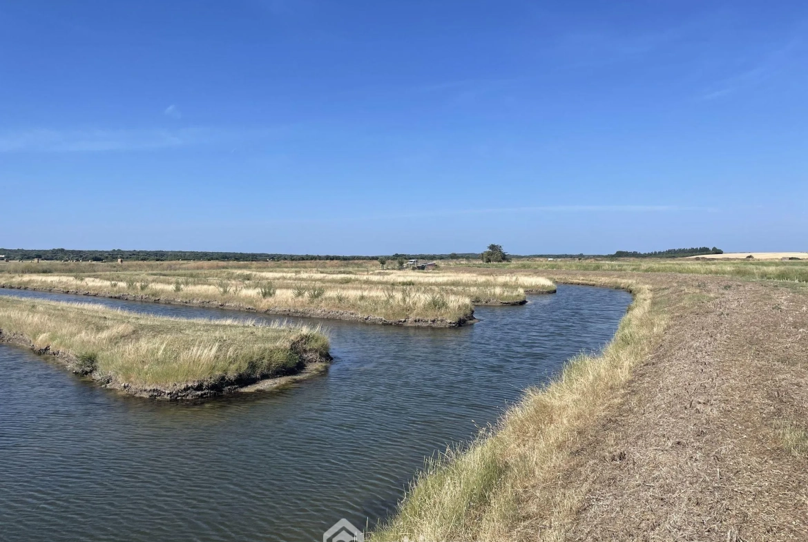 Terrain de loisirs à Jard-sur-Mer pour pêche et détente en pleine nature 