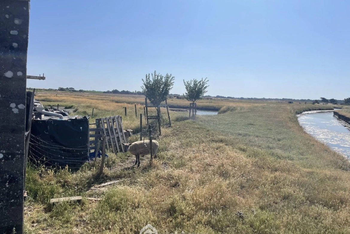 Terrain de loisirs à Jard-sur-Mer pour pêche et détente en pleine nature 