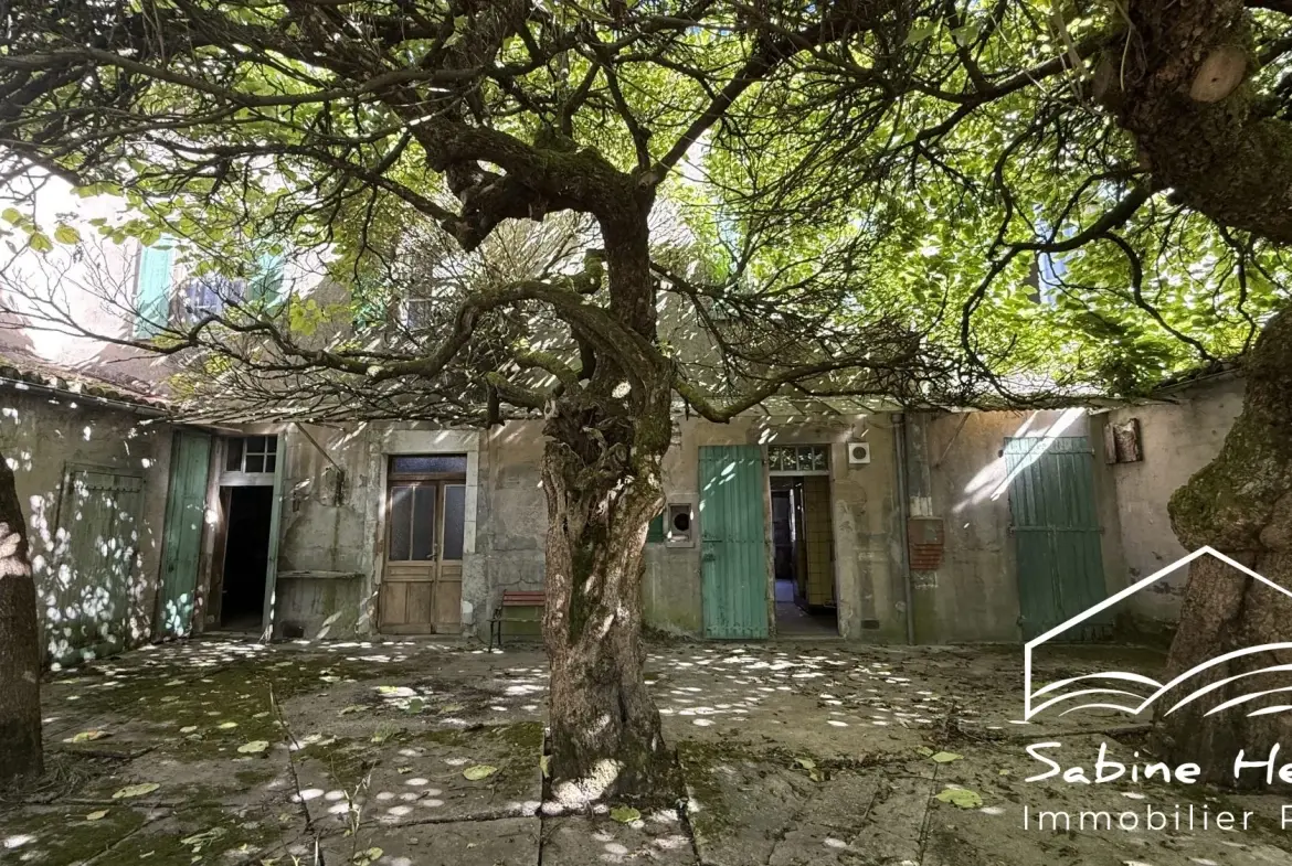 Maison ancienne à rénover avec grand jardin au centre-ville de Carmaux 