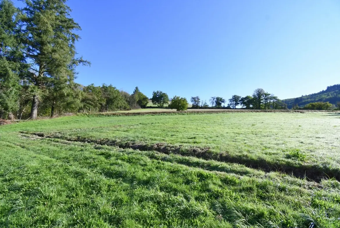 Longère avec grand terrain, dépendances et hangar lumineux à Cussy-en-Morvan 