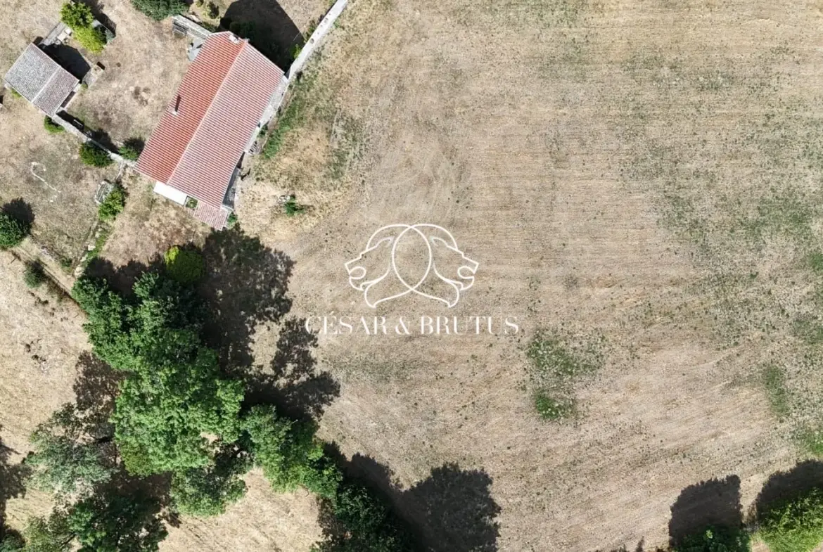 Ferme avec dépendances à Chomelix (43), 117 m² sur 7385 m² de terrain 