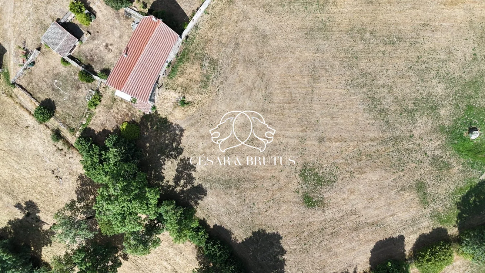 Ferme avec dépendances à Chomelix (43), 117 m² sur 7385 m² de terrain 