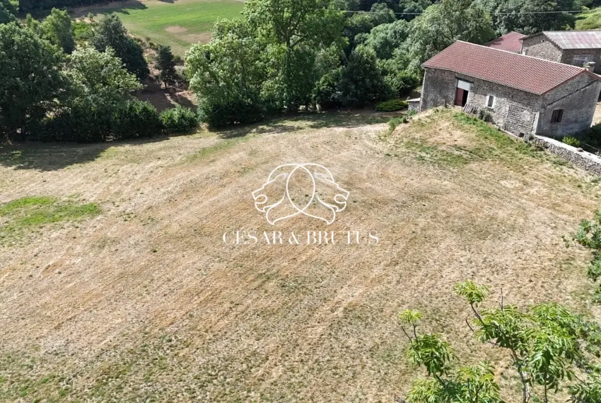 Ferme avec dépendances à Chomelix (43), 117 m² sur 7385 m² de terrain 