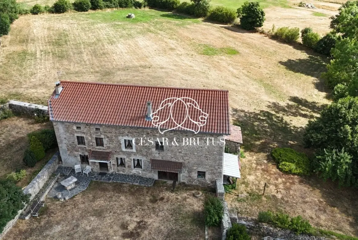 Ferme avec dépendances à Chomelix (43), 117 m² sur 7385 m² de terrain 