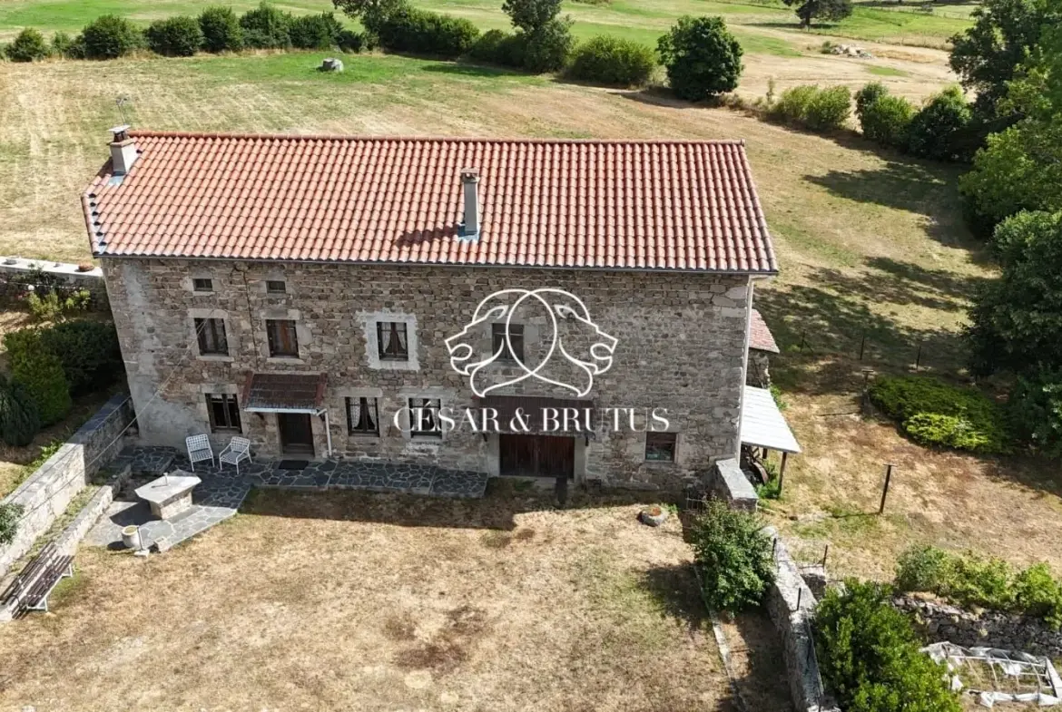 Ferme avec dépendances à Chomelix (43), 117 m² sur 7385 m² de terrain 