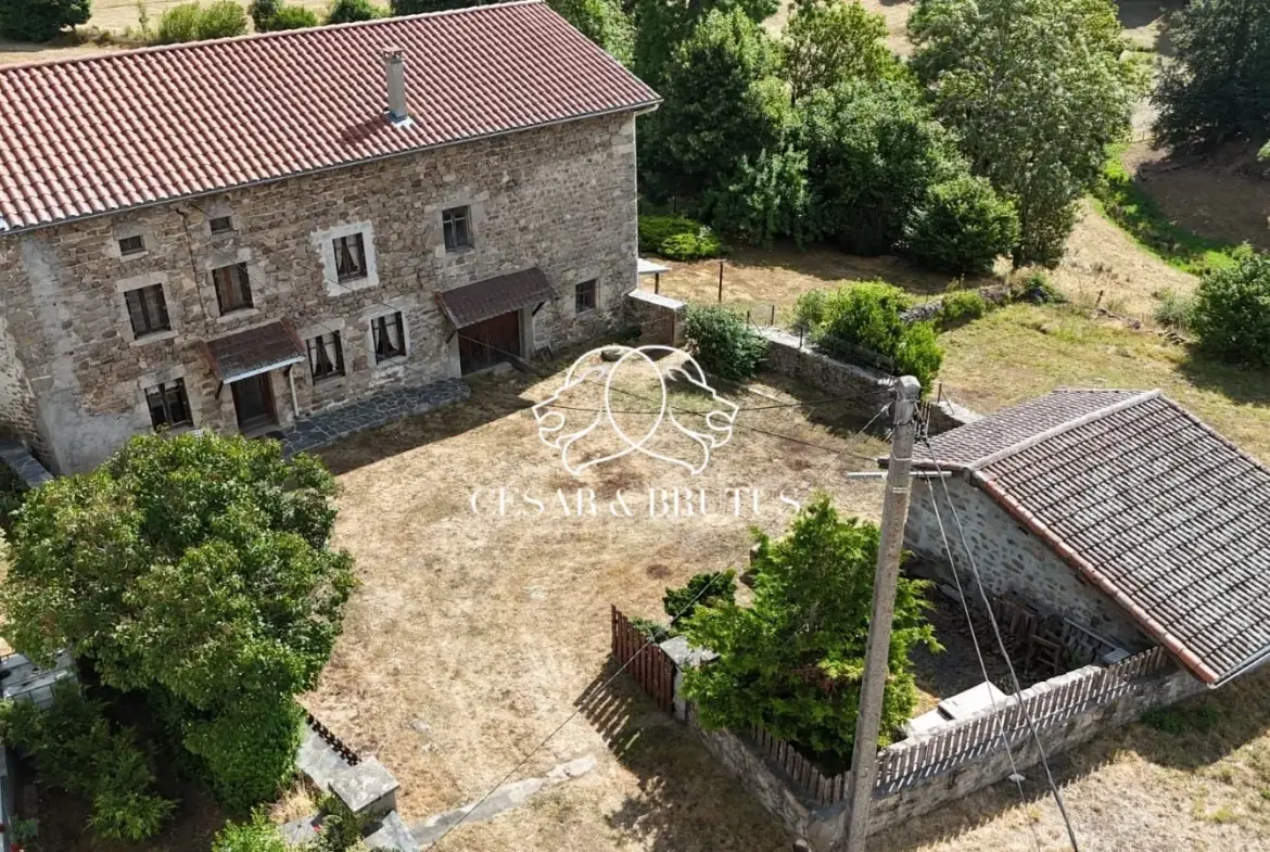 Ferme avec dépendances à Chomelix (43), 117 m² sur 7385 m² de terrain 