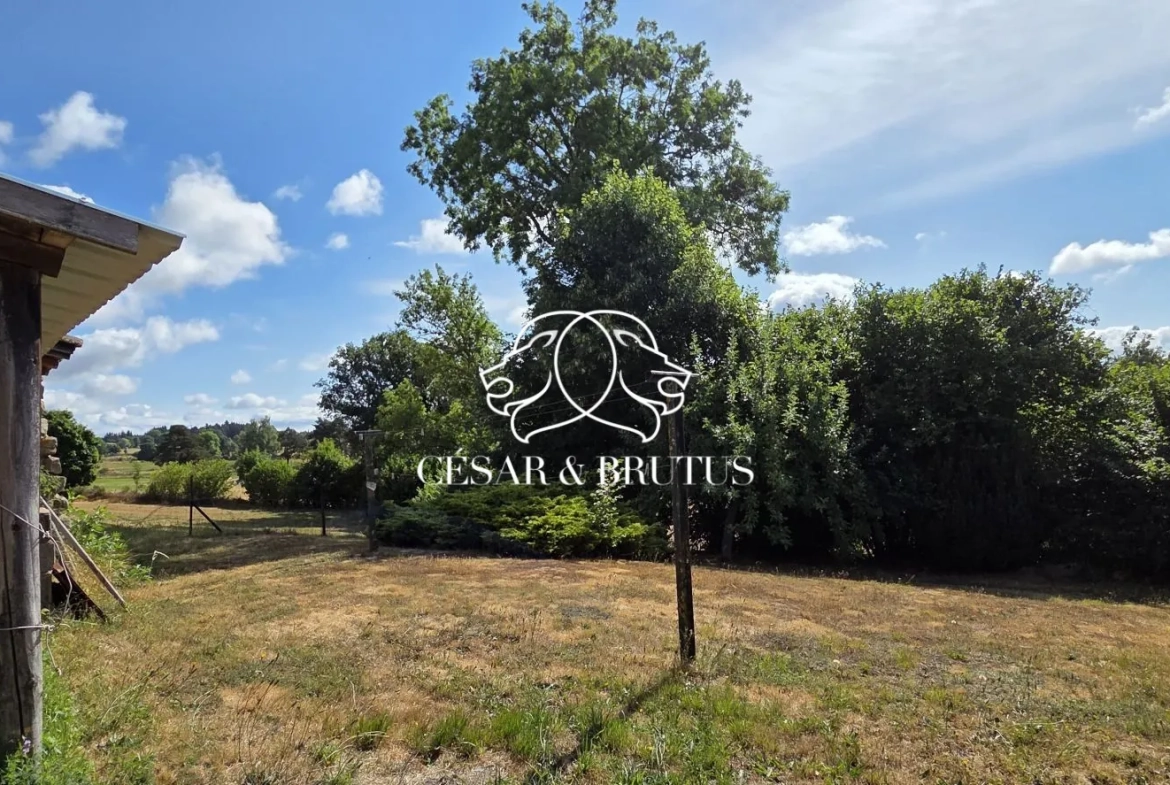Ferme avec dépendances à Chomelix (43), 117 m² sur 7385 m² de terrain 