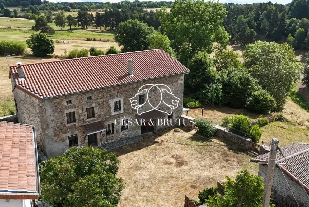 Ferme avec dépendances à Chomelix (43), 117 m² sur 7385 m² de terrain 