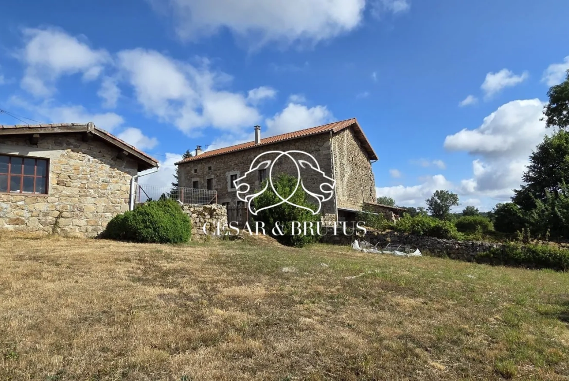 Ferme avec dépendances à Chomelix (43), 117 m² sur 7385 m² de terrain 