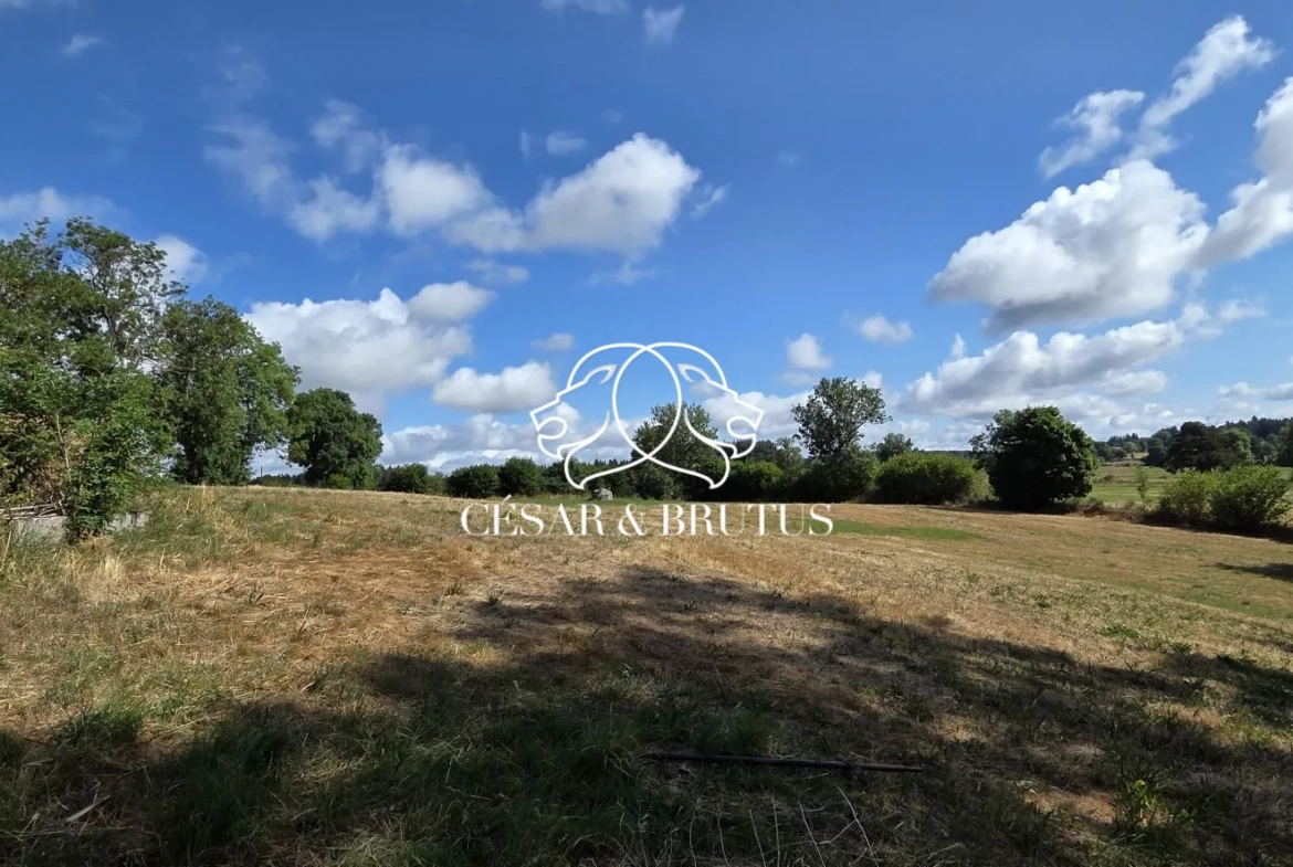 Ferme avec dépendances à Chomelix (43), 117 m² sur 7385 m² de terrain 