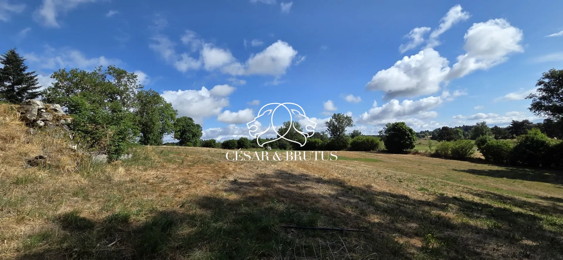 Ferme avec dépendances à Chomelix (43), 117 m² sur 7385 m² de terrain 