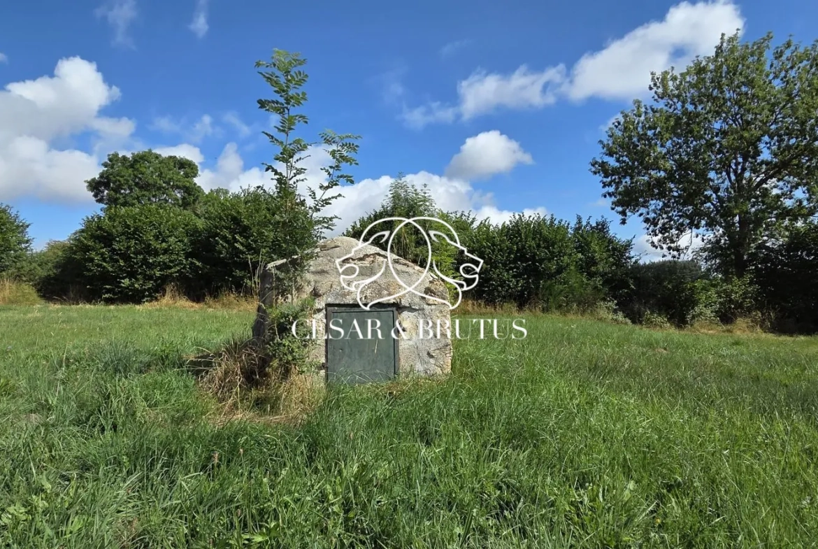 Ferme avec dépendances à Chomelix (43), 117 m² sur 7385 m² de terrain 