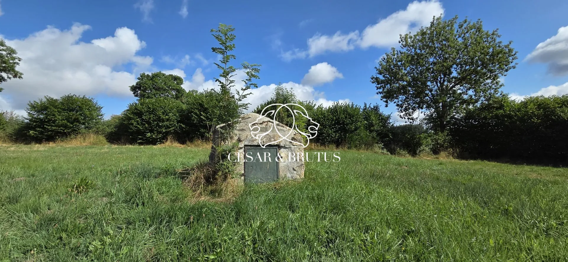 Ferme avec dépendances à Chomelix (43), 117 m² sur 7385 m² de terrain 