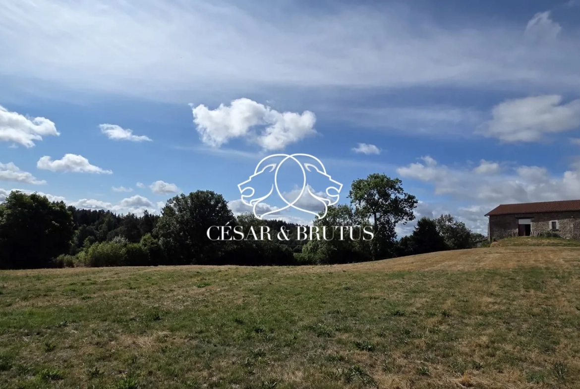 Ferme avec dépendances à Chomelix (43), 117 m² sur 7385 m² de terrain 