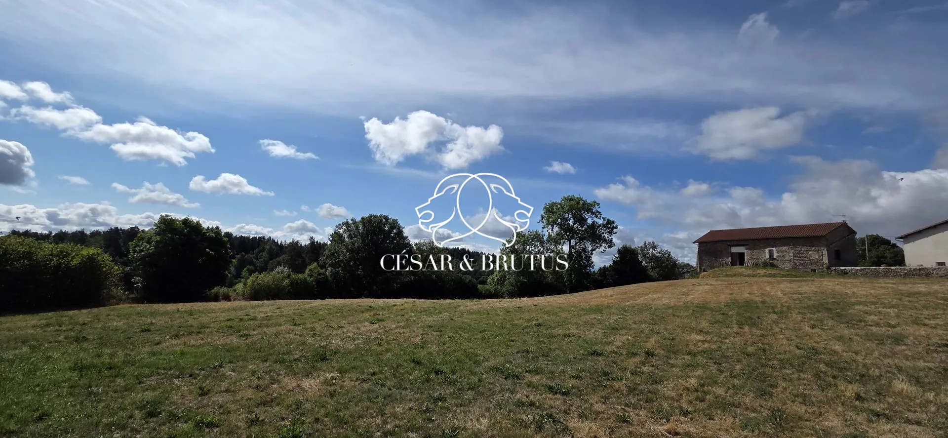 Ferme avec dépendances à Chomelix (43), 117 m² sur 7385 m² de terrain 