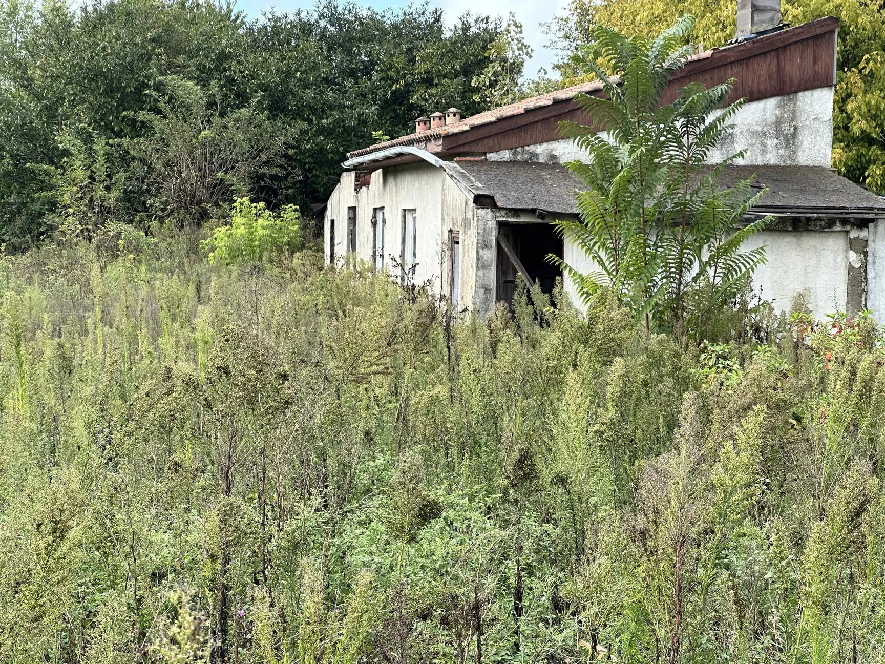 Maison à rénover sur 449 m² à Eysines – Projet de transformation 
