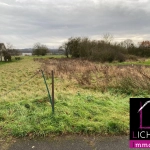 Terrain constructible plat de 19,30 ares à Altviller en Moselle-Est
