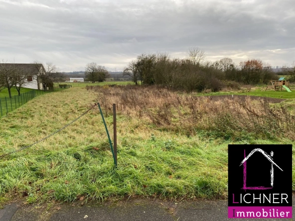 Terrain constructible plat de 19,30 ares à Altviller en Moselle-Est