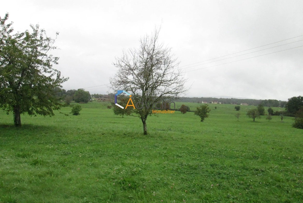 Superbe terrain constructible de 2617 m² à La Bruyère avec vue sur la nature 
