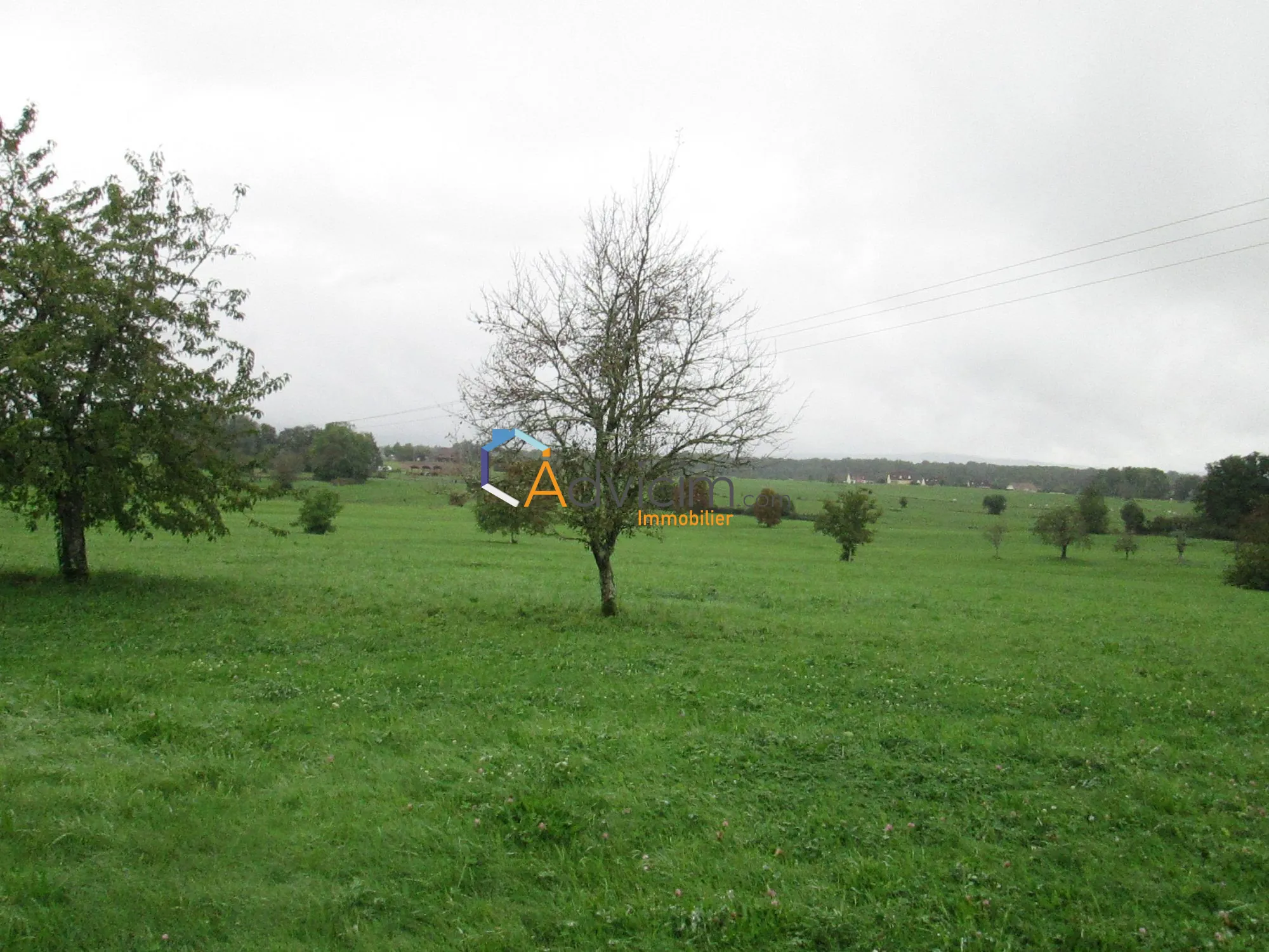 Superbe terrain constructible de 2617 m² à La Bruyère avec vue sur la nature 