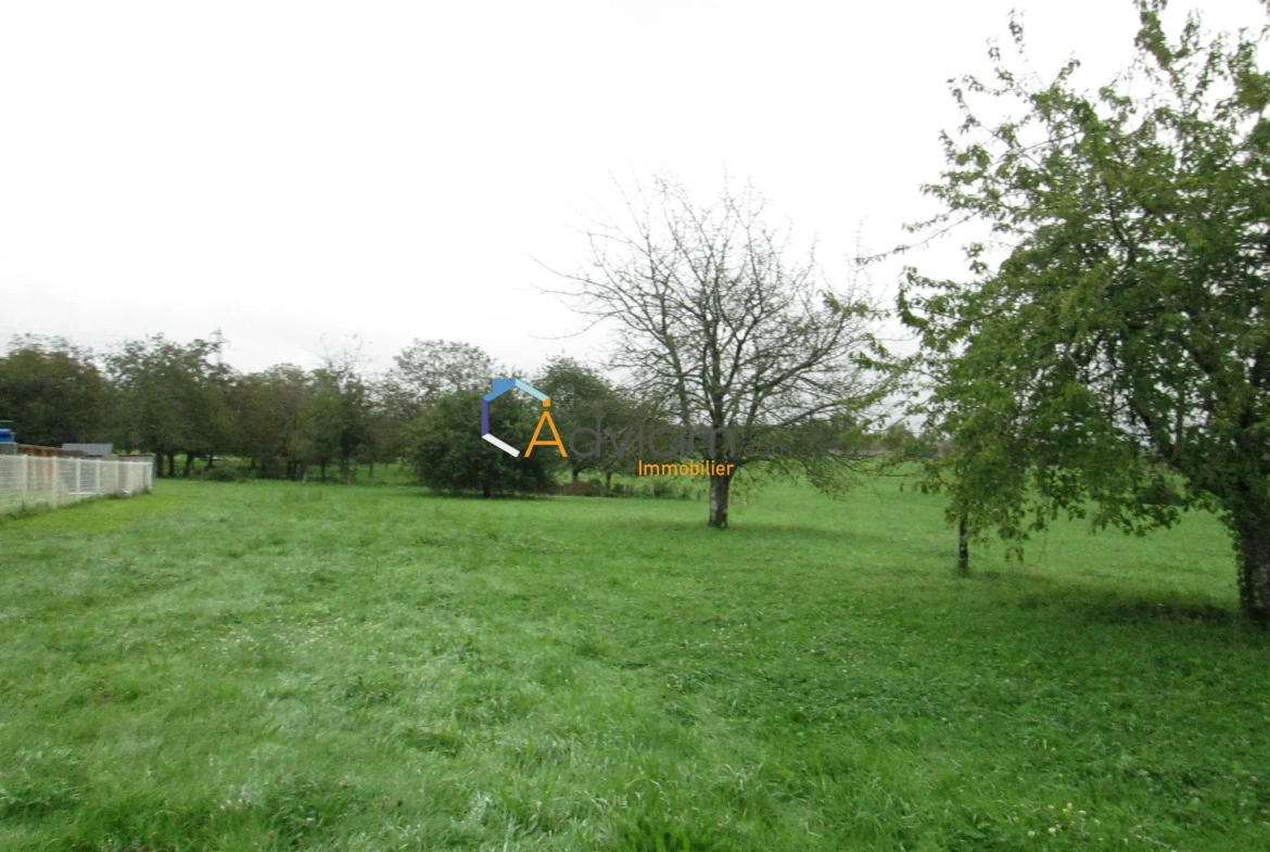 Superbe terrain constructible de 2617 m² à La Bruyère avec vue sur la nature 