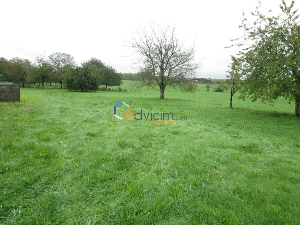 Superbe terrain constructible de 2617 m² à La Bruyère avec vue sur la nature