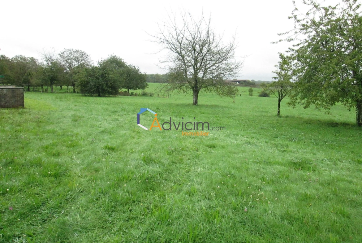 Superbe terrain constructible de 2617 m² à La Bruyère avec vue sur la nature 