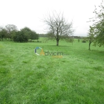 Superbe terrain constructible de 2617 m² à La Bruyère avec vue sur la nature