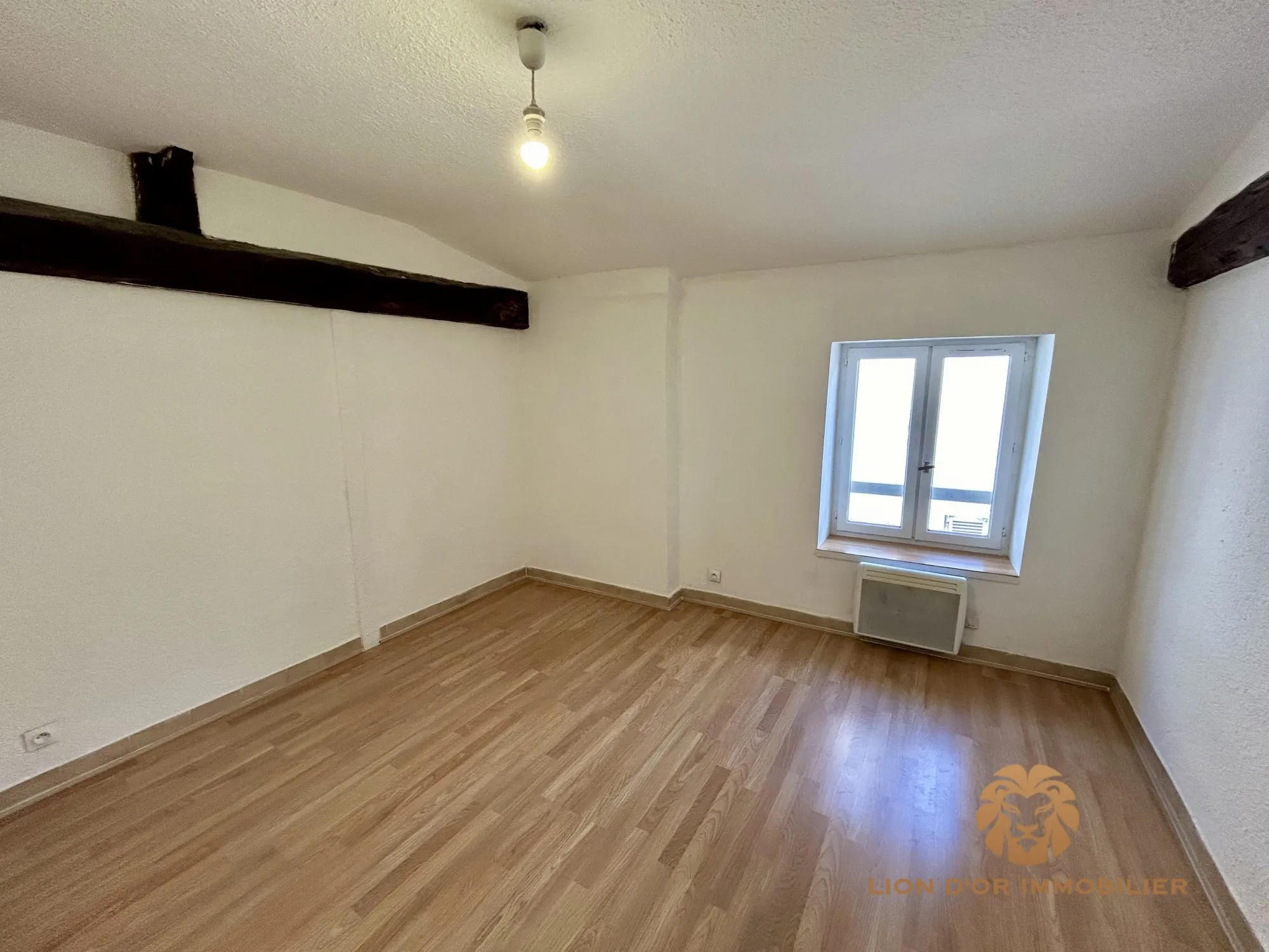 Appartement T3 à Villefranche-sur-Saône avec cave et locataire en place 
