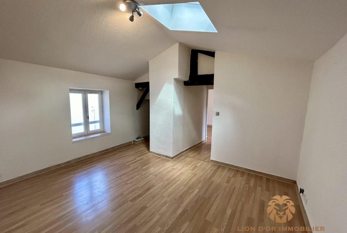 Appartement T3 à Villefranche-sur-Saône avec cave et locataire en place 