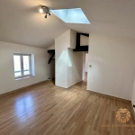 Appartement T3 à Villefranche-sur-Saône avec cave et locataire en place