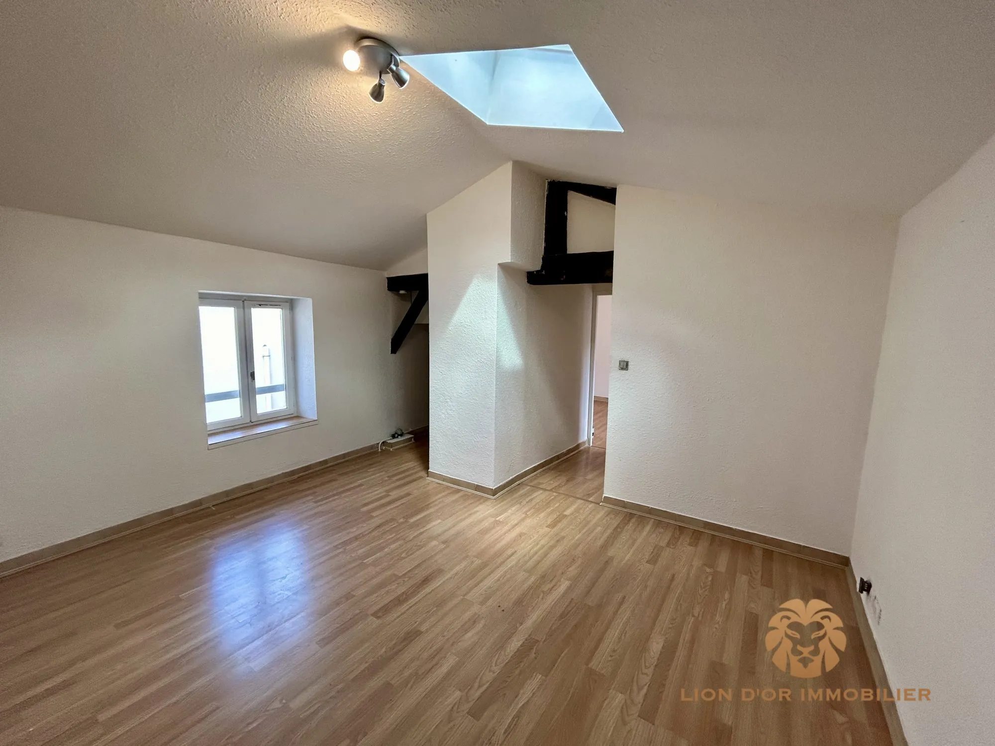 Appartement T3 à Villefranche-sur-Saône avec cave et locataire en place 