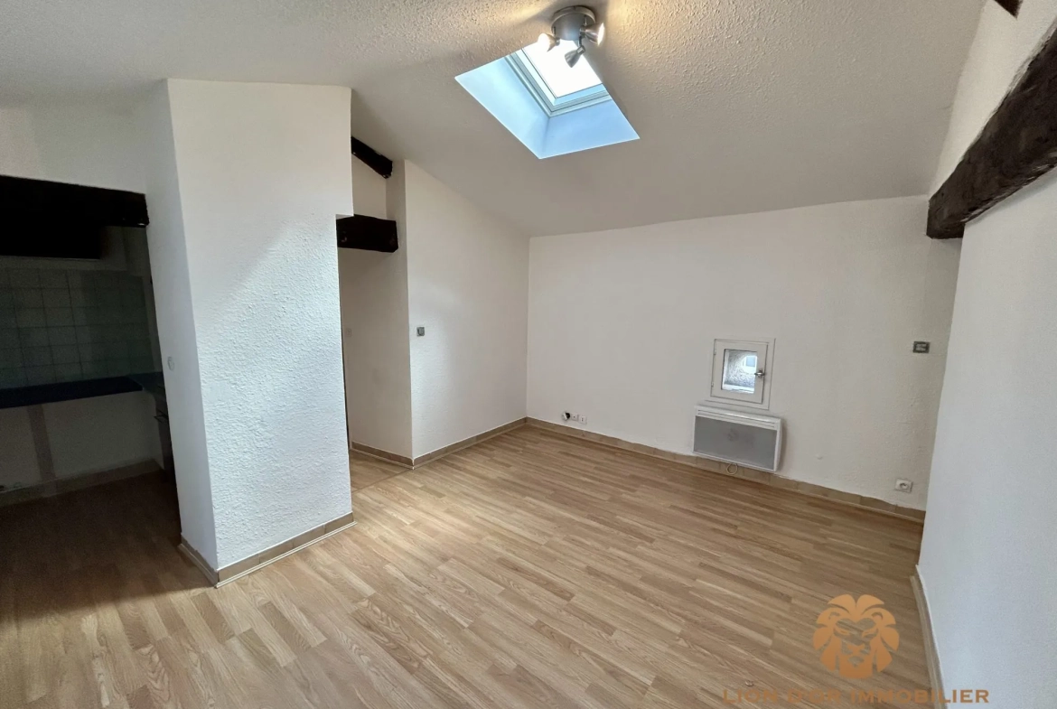 Appartement T3 à Villefranche-sur-Saône avec cave et locataire en place 