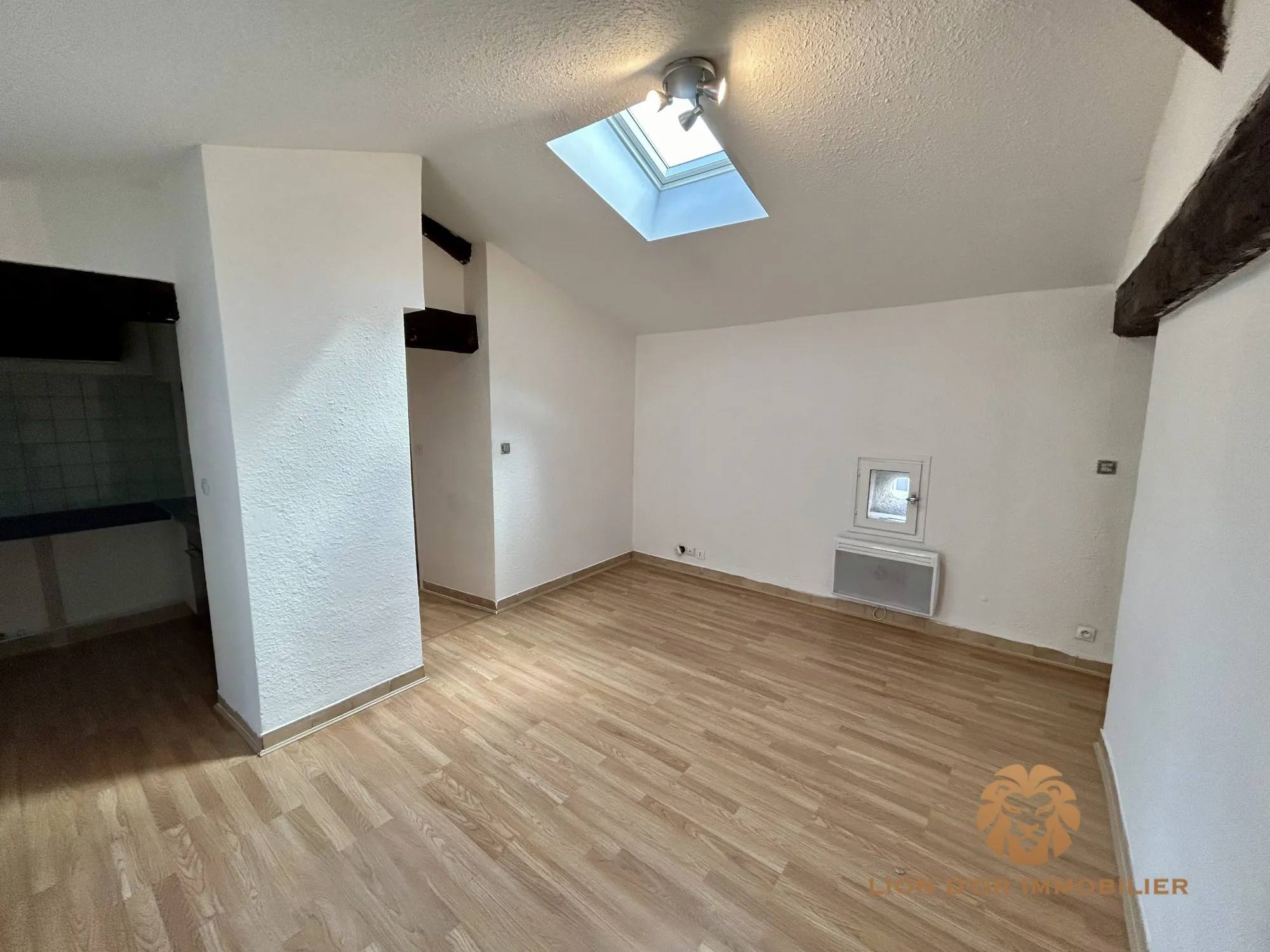 Appartement T3 à Villefranche-sur-Saône avec cave et locataire en place 