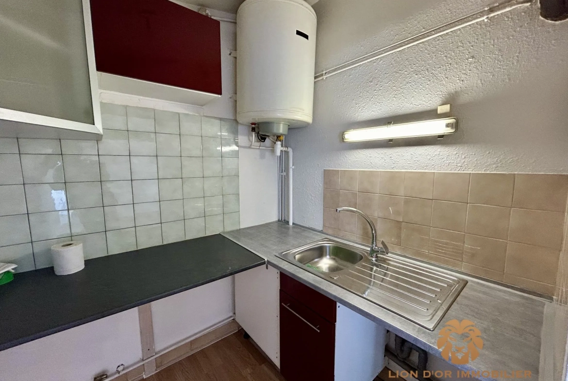 Appartement T3 à Villefranche-sur-Saône avec cave et locataire en place 
