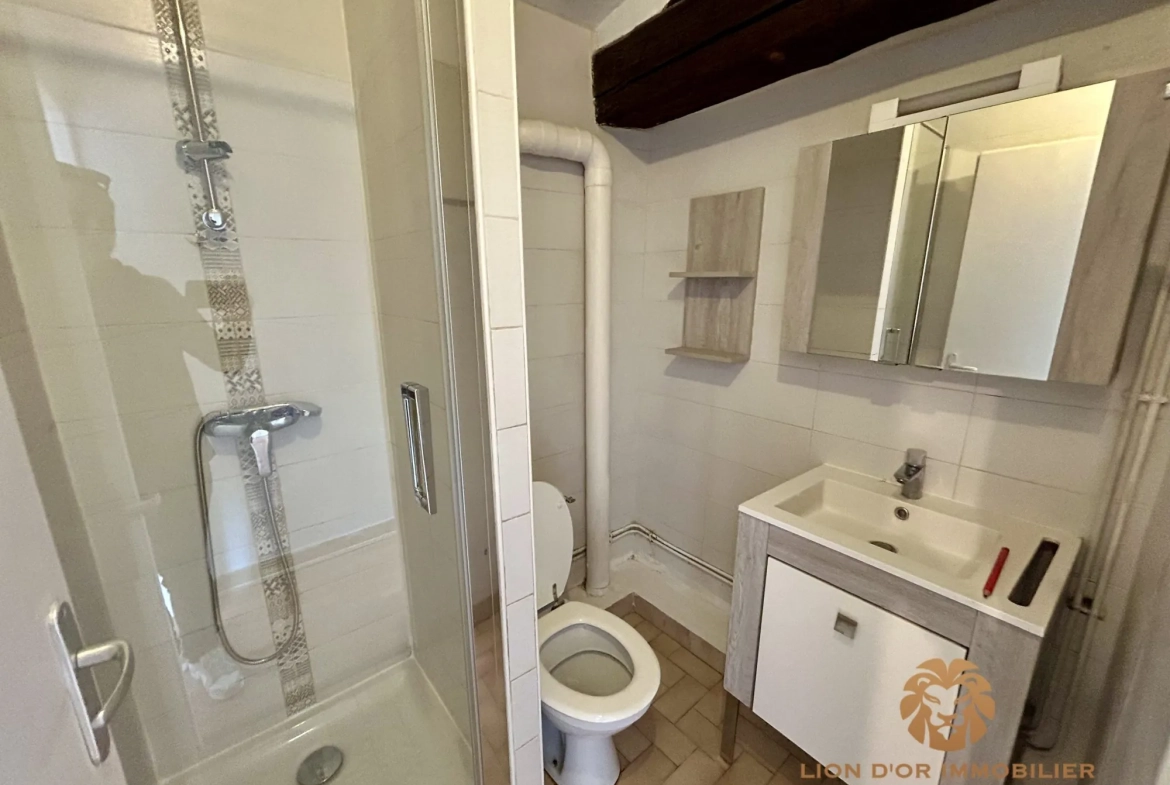 Appartement T3 à Villefranche-sur-Saône avec cave et locataire en place 